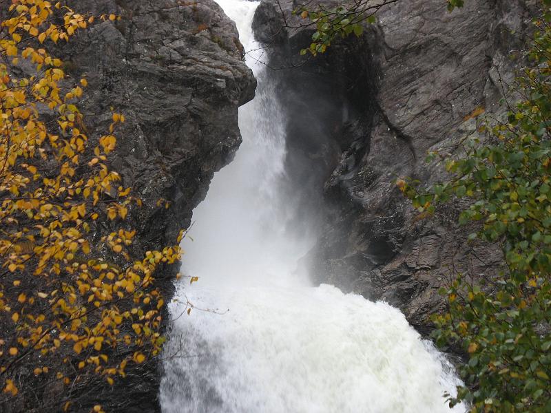 08.10.2008 384.jpg